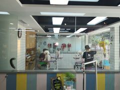 -贝贝宠物乐园(常青花园店)