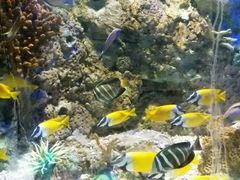 -洛阳龙门海洋馆