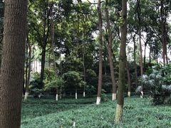 -宝光寺