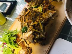-三强鸽子(中原路店)