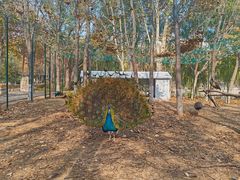 -山东艺术学院(长清校区)