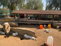 -羊亭河湿地公园