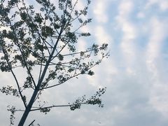 -广东外语外贸大学(白云山校区)