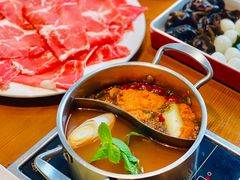 -秦风肥牛(阳阳国际店)
