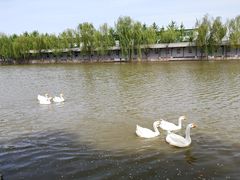-河北村民俗体验园