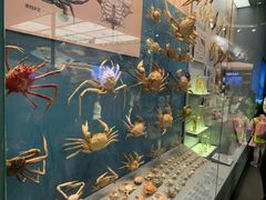 -深海中餐厅(国家海洋博物馆店)