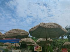 -桃源山庄·水蜜桃采摘·柴火鸡·烧烤团建(龙泉山店)
