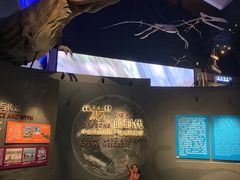 -贝林大翅鲸简餐厅(国家海洋博物馆店)