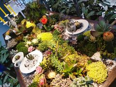 -石家庄市植物园