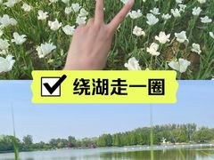 -北京国际鲜花港