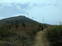 -东白山