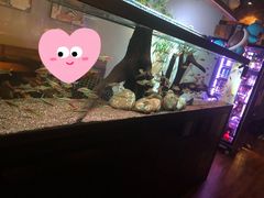-阿泽料理