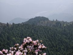 -雁荡山风景名胜区
