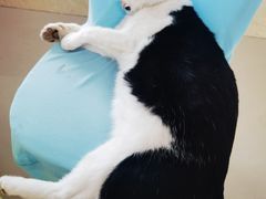 -庆岭迎宾园正宗活鱼馆