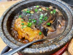 -海派美食·家宴海鲜青岛菜·石锅鲽鱼头(东方城店)