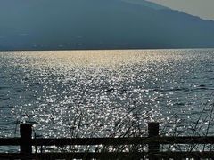 -西昌邛海湿地