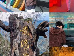 -龙湾潭国家森林公园