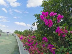 -飞凤山奥体公园