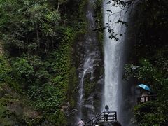 -莫里热带雨林景区