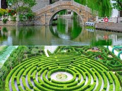 -盐城丹顶鹤湿地生态旅游区