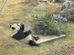 -无锡动物园·太湖欢乐园