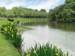-艾溪湖湿地公园