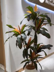 -康美贞·痘肌养护管理中心