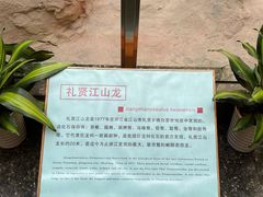 -衢州市博物馆