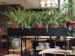 -向阳庄烧烤店(望京西园店)