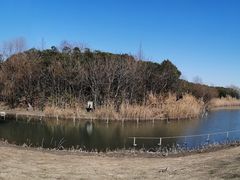 -上海吴淞炮台湾国家湿地公园