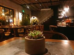 -Apollo·西班牙小酒馆(安福路店)
