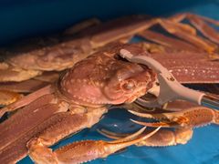 帝皇蟹-蟹田居·活蟹料理(东城店)