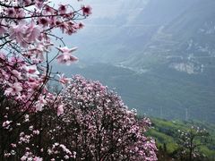 -九皇山景区