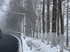 -东白山