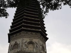 -玲珑塔公园