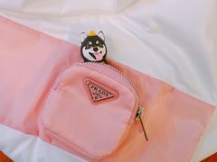 -PRADA普拉达(国金中心店)