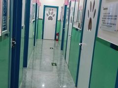 -全心全意连锁动物医院(石景山店)