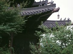 -杭州半山国家森林公园