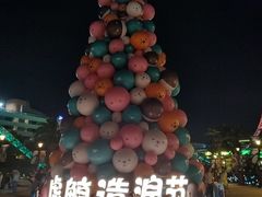 -上海海昌海洋公园