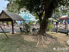 -灵玲国际马戏城