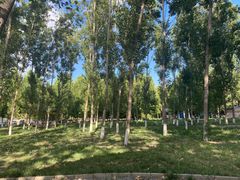 -钟方模白家肥肠粉(春熙店)