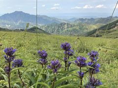 -灵山