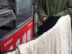 -巴子烤鸭