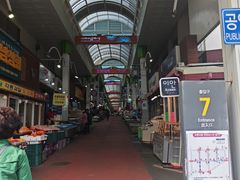 -西归浦每天偶来市场