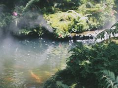 -Chom Cafe and Restaurant