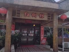 -崖口红树林海鲜餐厅