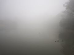 -大雁山风景区