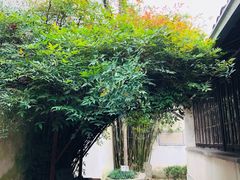 景点-乌镇东栅景区-茅盾故居