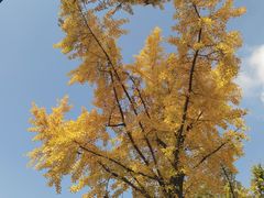 -赞酱川式烤肉(蜀都万达店)