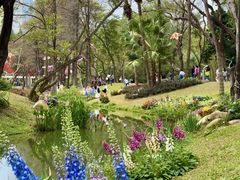 -人民公园(罗湖区)